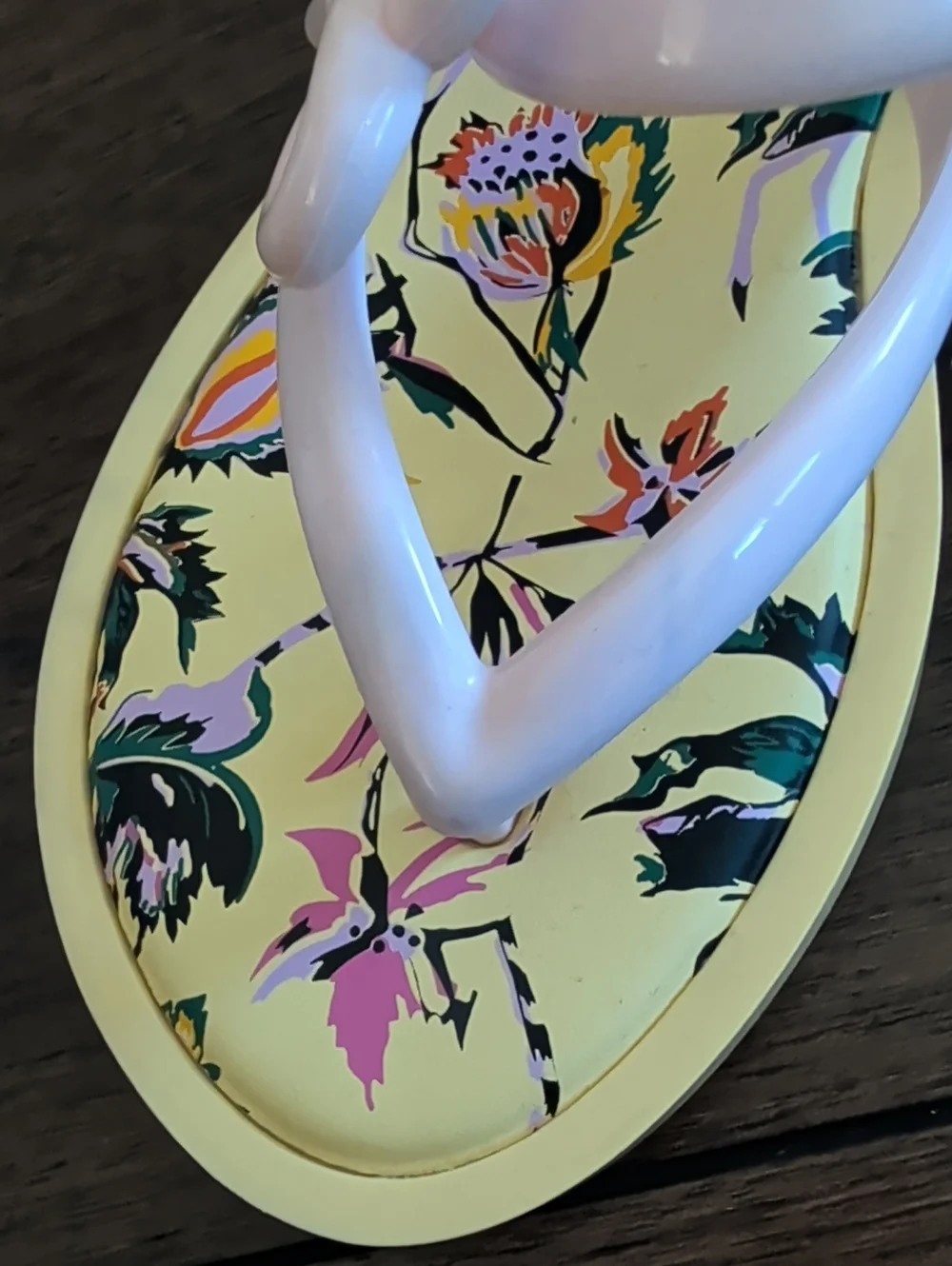 Melissa / Jason Wu Flip Flop Sandals